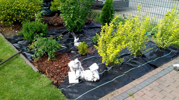 Teaser für Haus Garten Werder